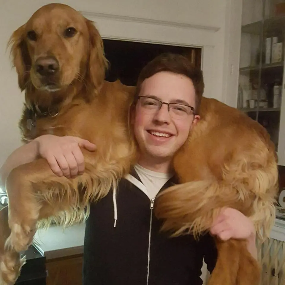 #WHYWednesday : David Rovano