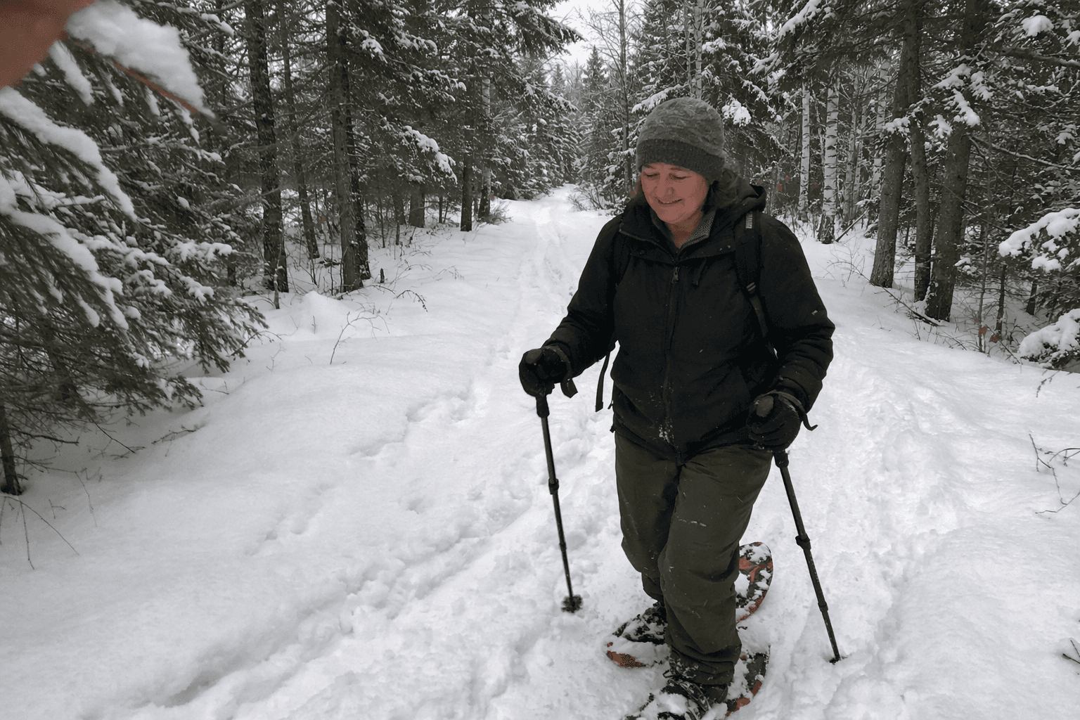 Beginner Snowshoe Trails Near Duluth