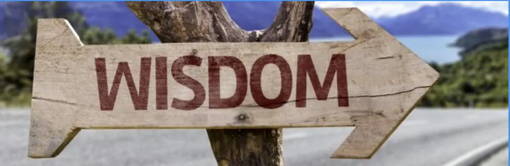 Wisdom Zingers and the Happiness Perspective